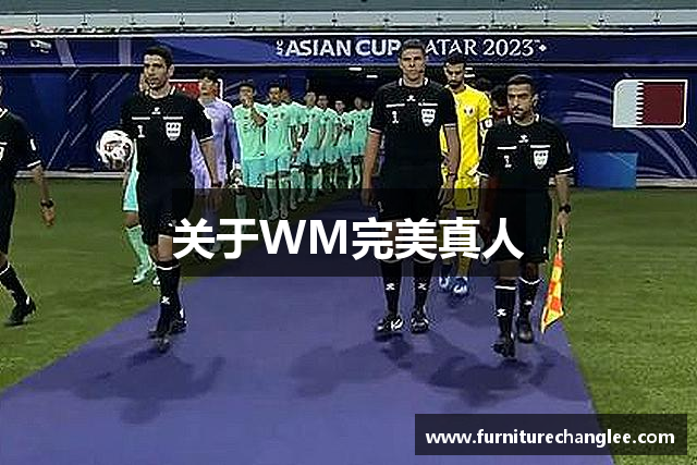 关于WM完美真人
